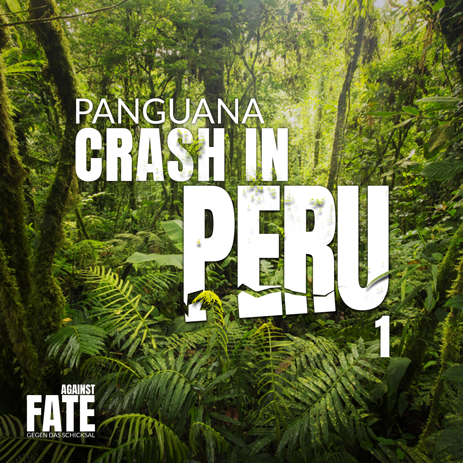 Chrash in Peru 1 Cover