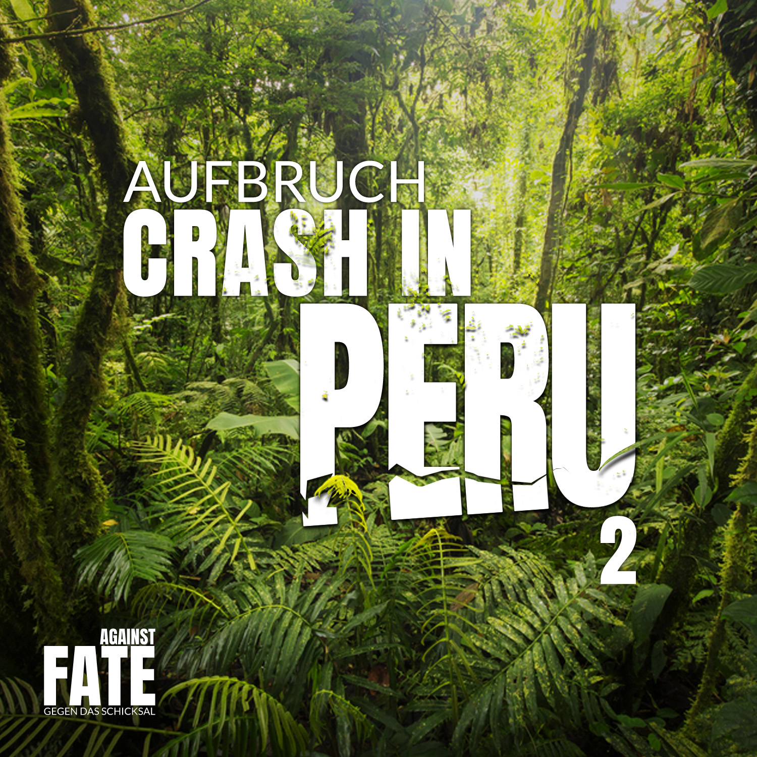 Crash-in-Peru-2-cover