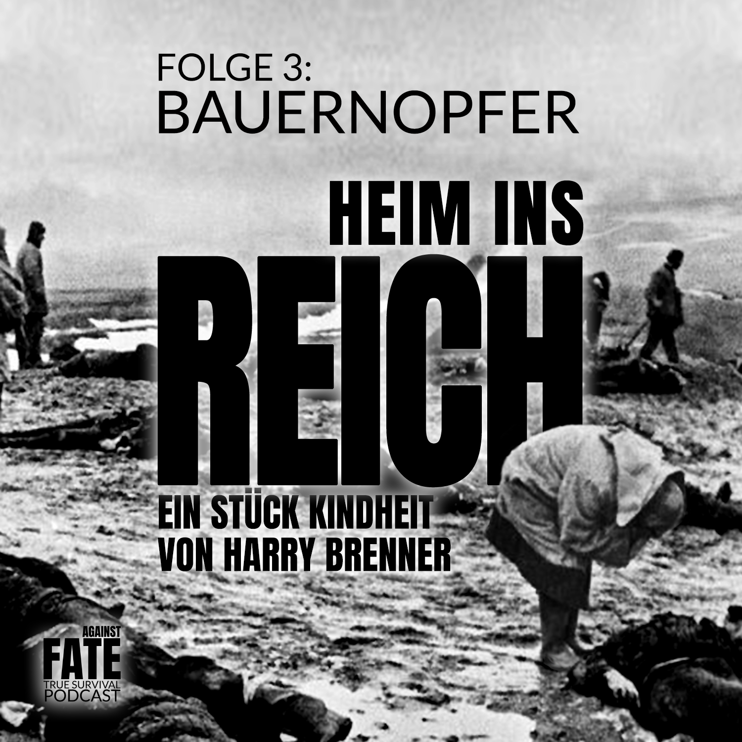 heiminsReich-3-Cover