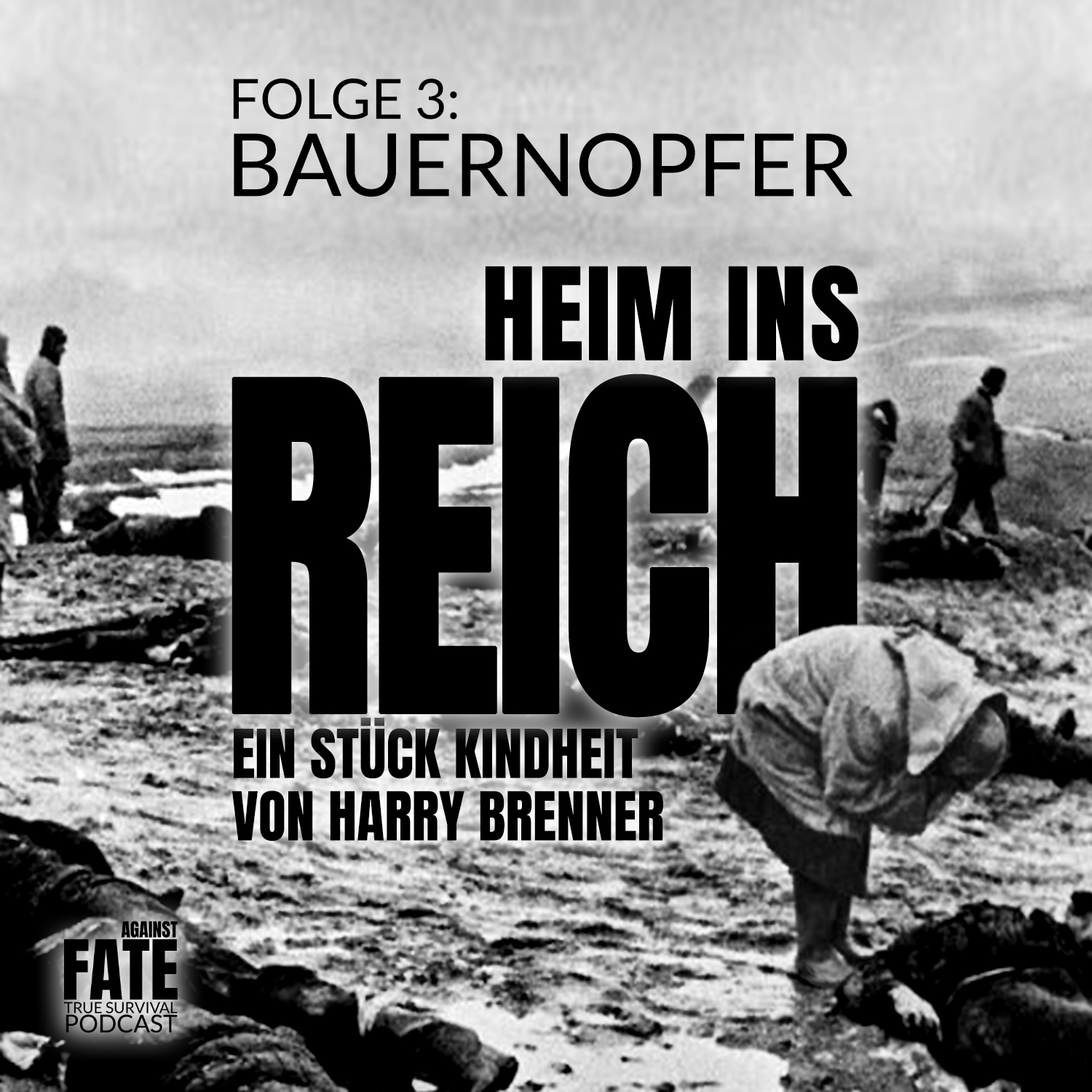 heiminsReich-3-Cover
