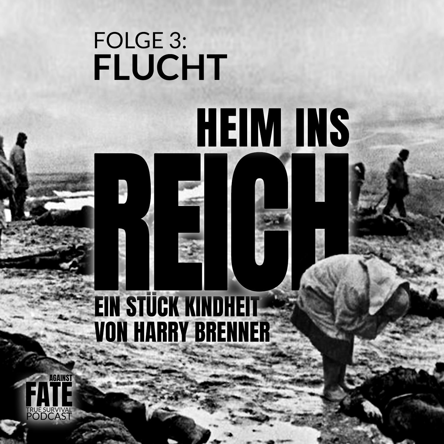 Heim ins Reich 4 Cover