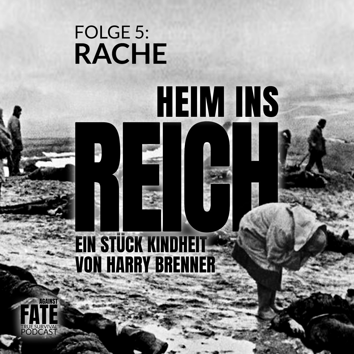 Heim ins Reich 5 Cover