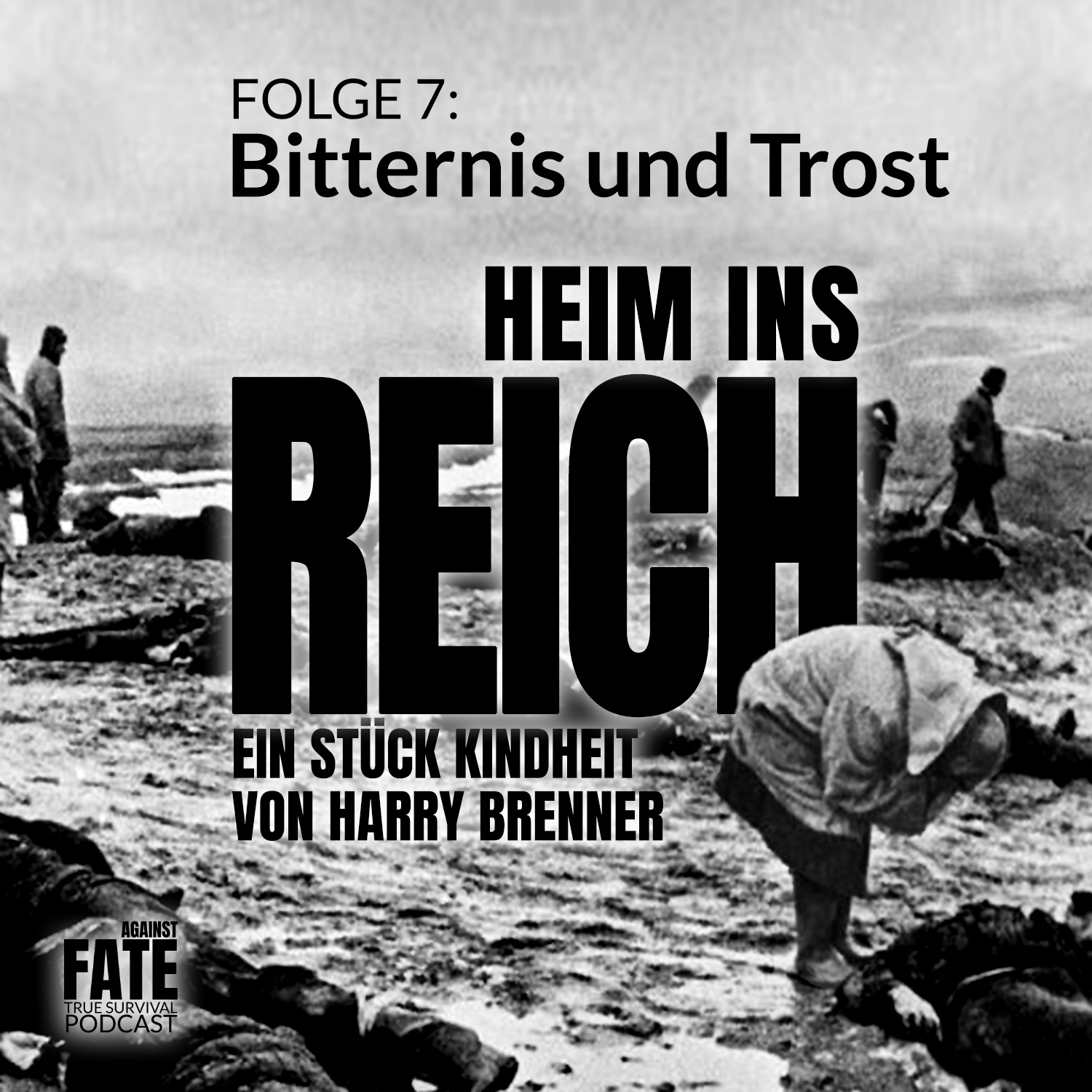HeiminsReich7-Cover