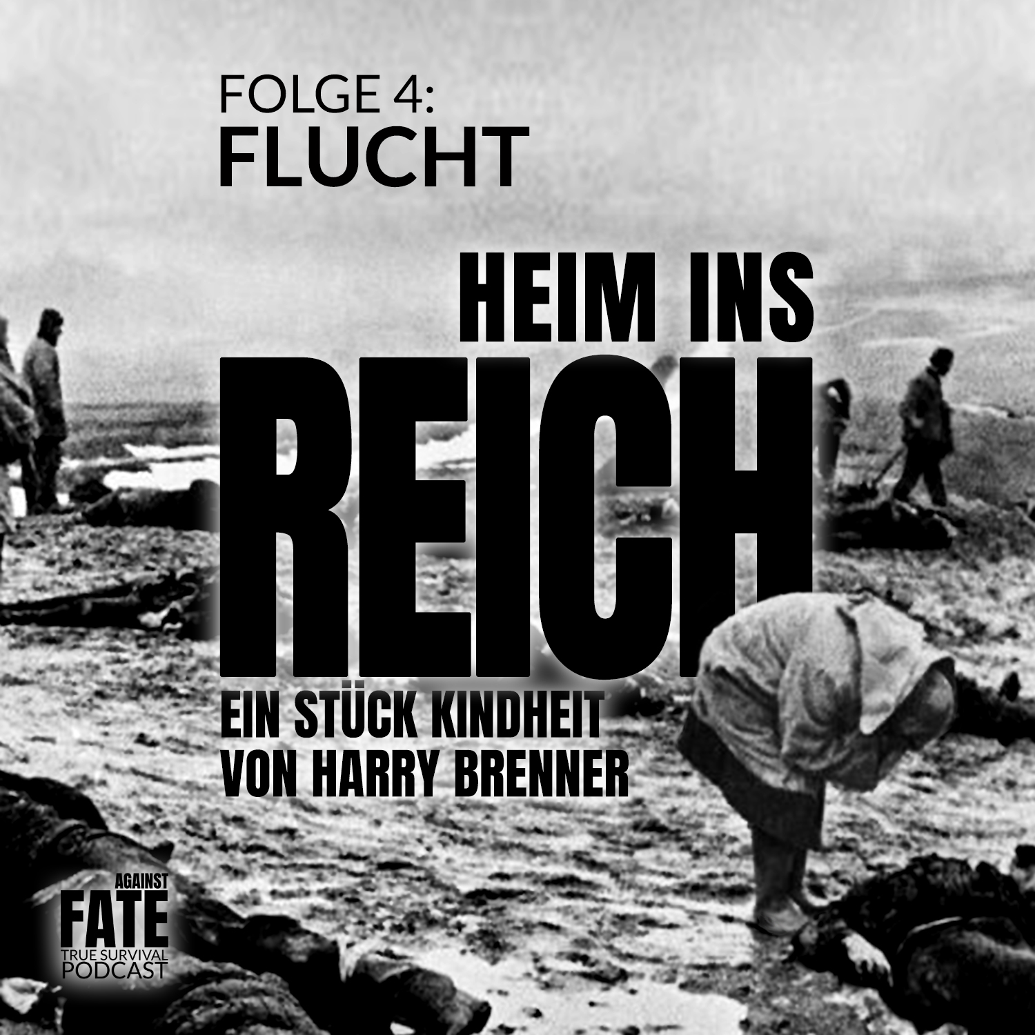 Heim ins Reich 4 Cover Heim ins Reich 4 Cover